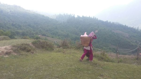 nepal